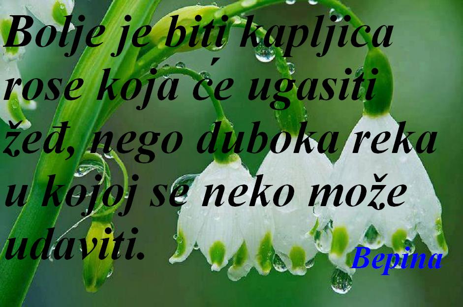 10476364_784509088305954_3087052864017139630_n