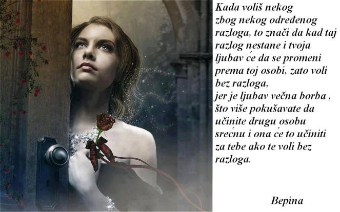 17635_919160531468242_4508660725289415137_n