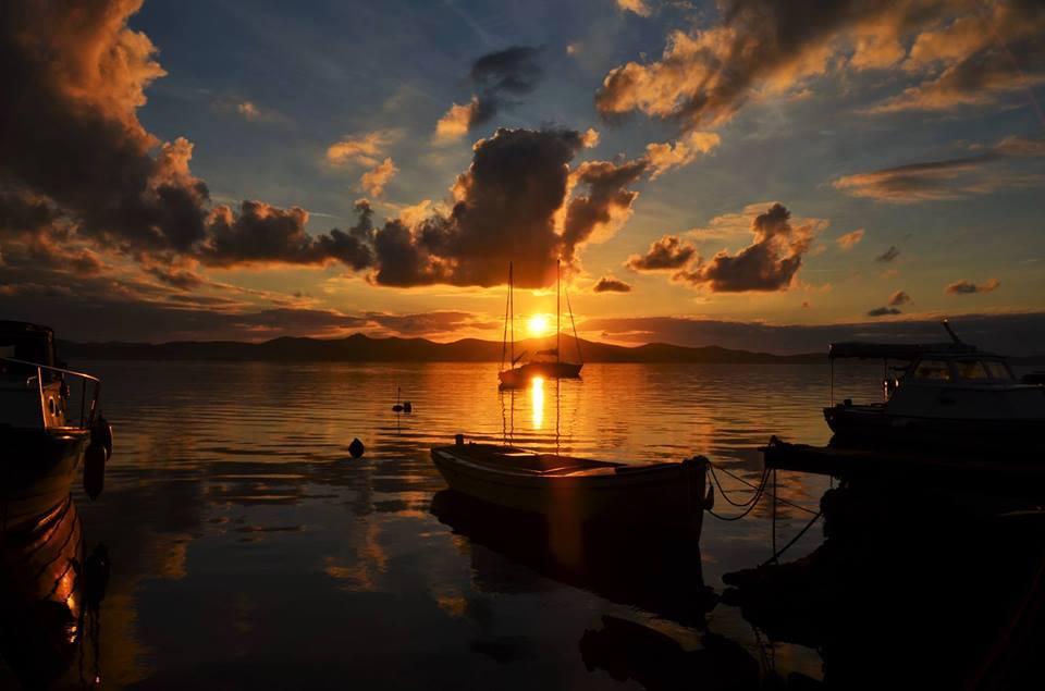 11218799_1034535389910149_1603360378663768393_n